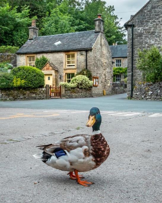 Duck Cottage Milldale Alstonefield Peak District Alstonfield Εξωτερικό φωτογραφία